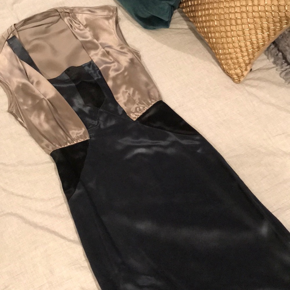 Silk Dress